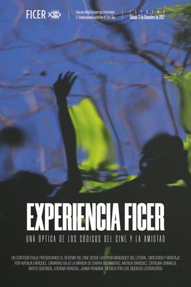 Experiencia FICER