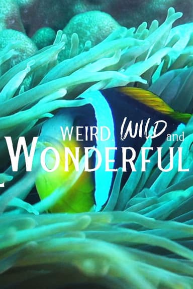 Weird, Wild, and Wonderful