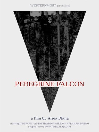Peregrine Falcon