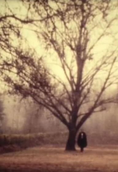 D. Jaime or the Portuguese Night