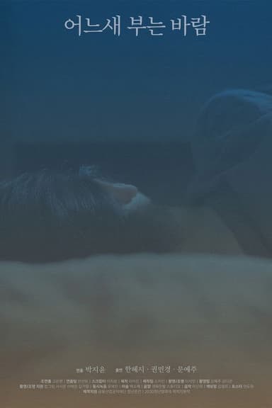 The Consolation of the Wind