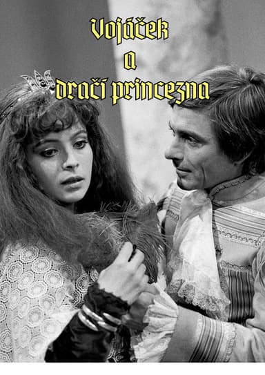 Vojáček a dračí princezna