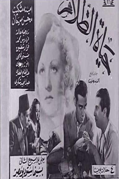 The Life of Darkness