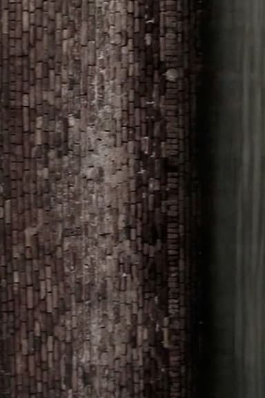 The Little White Doves