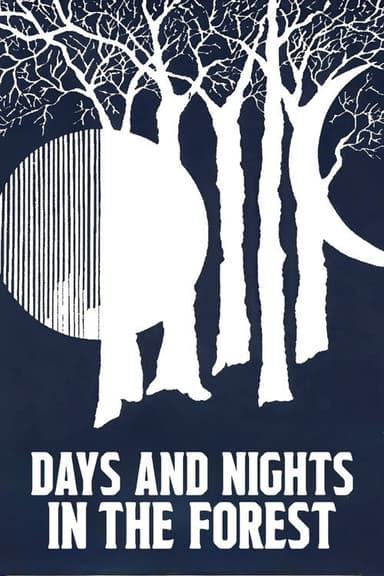 Days and Nights in the Forest