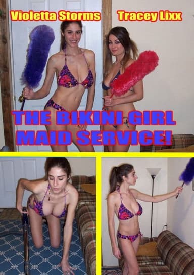 The Bikini Girl Maid Service