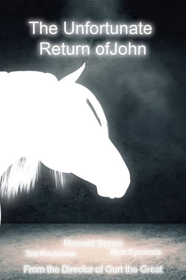 The Unfortunate Return of John