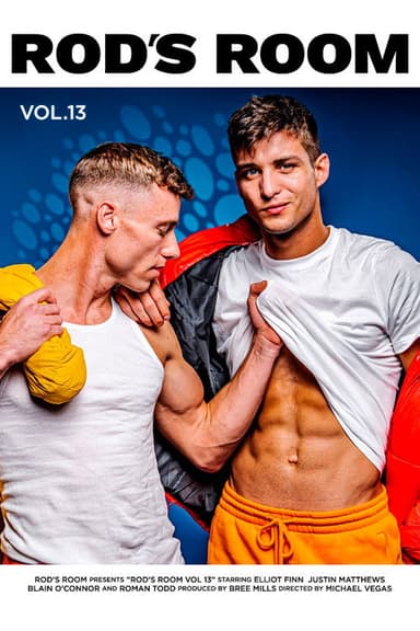 Rod's Room: Vol 13