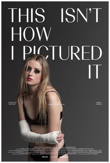 This Isn't How I Pictured It