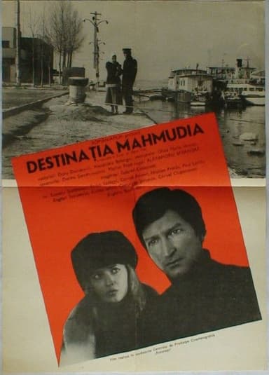 Destination Mahmudia