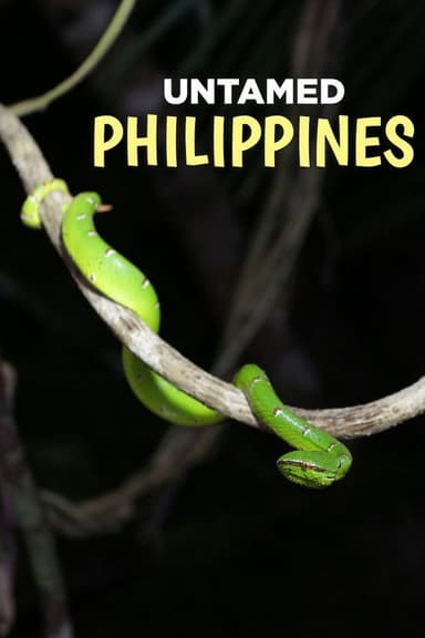 Untamed Philippines