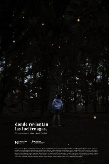 Where the fireflies burst