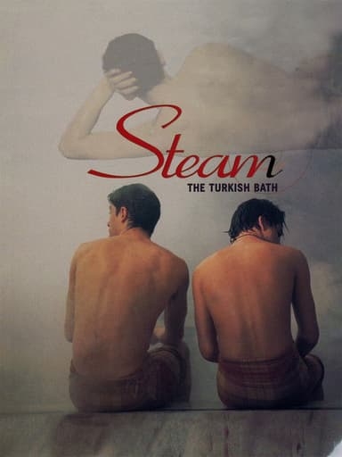 Steam: The Turkish Bath