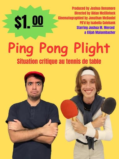 Ping Pong Plight