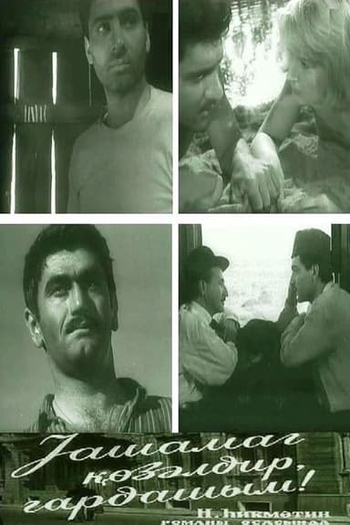 The Life is Beautiful, Brother!