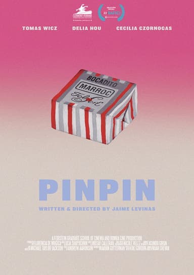 PINPIN