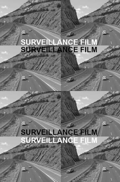 Surveillance Film