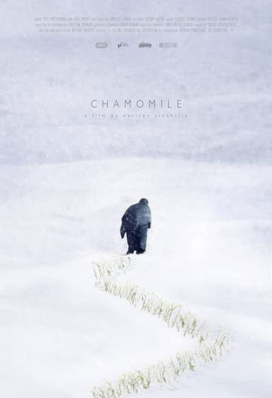 Chamomile