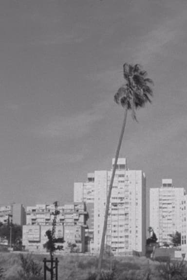 Thirteen Ways of Looking at a Blackbird