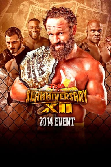 TNA Slammiversary XII