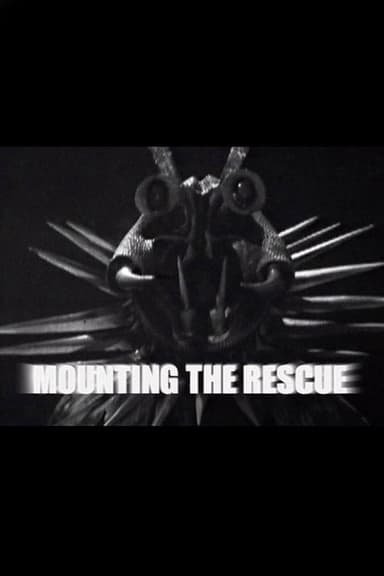 Mounting the Rescue