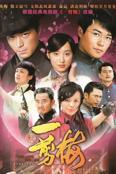 New Spring of Plum Blossoms