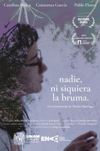 Nobody, Not Even the Mist