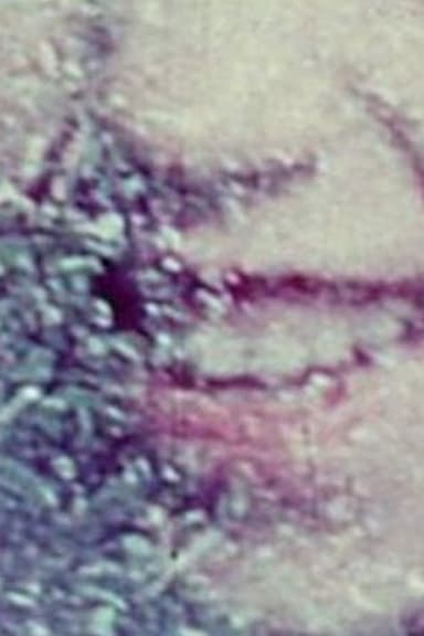 Film Notebook: Part 1 (For Saul)