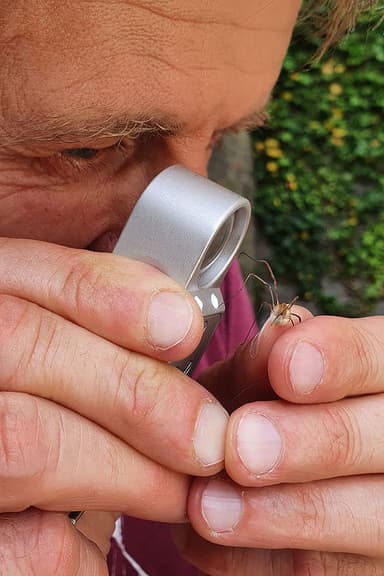 Geheimnisvolle Parktiere - Wildes Leben in der Stadt
