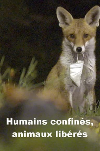 Menschen eingesperrt, Tiere befreit