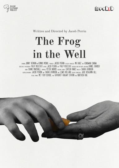 The Frog in The Well