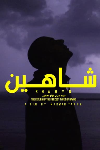 SHAHYN - THE RETURN OF THE FIERCEST TYPES OF HAWKS