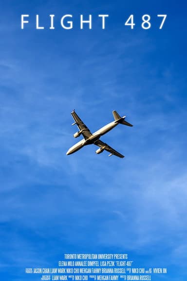 Flight 487