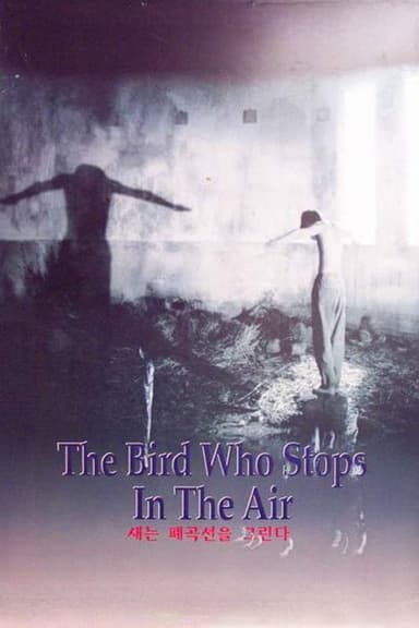 The Bird Who Stops in the Air