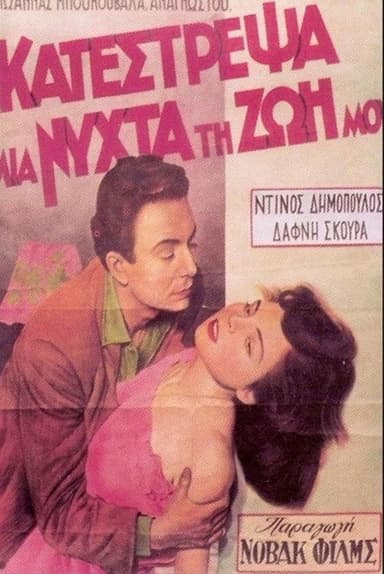 I Ruined My Life in One Night