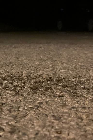 Snails Steadily Stroll the Street 2: Diligent Dirt-Dwellers Dash (Snails Steadily Stroll Lenin Nightcore Remix)