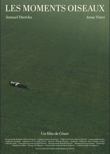 Les Moments Oiseaux