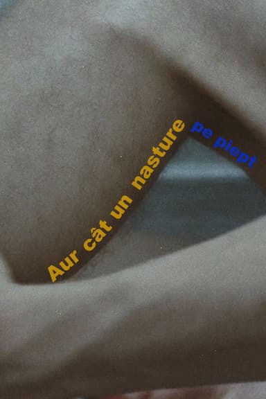 Aur cât un nasture pe piept