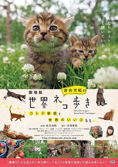 劇場版　岩合光昭の世界ネコ歩き　コトラ家族と世界のいいコたち