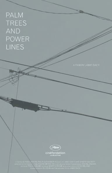 Palm Trees and Power Lines