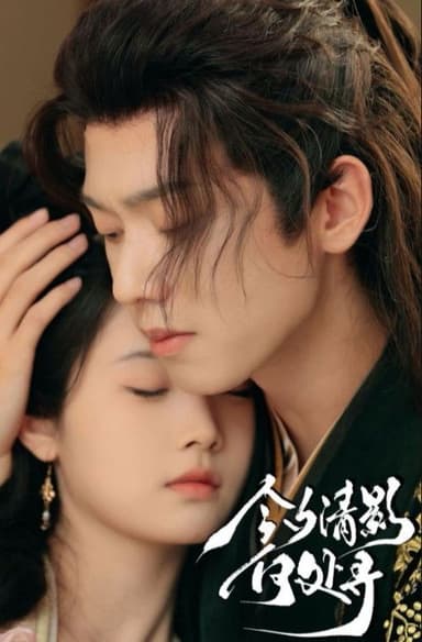 今夕清影何处寻