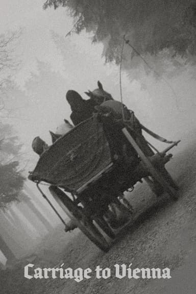 Carriage to Vienna