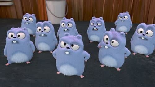 name