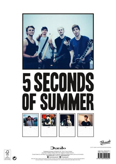5 Seconds of Summer - Rock in Rio Ao Vivo