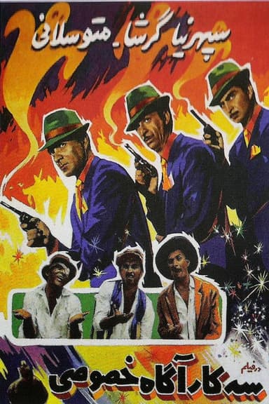 Three Private Detectives