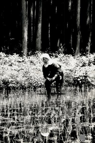 The Japanese Part 3: Farm Song