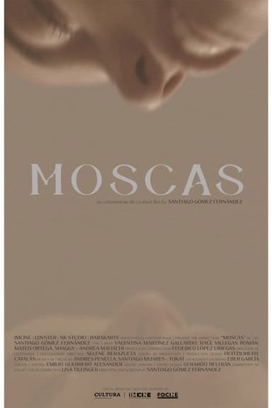 Moscas