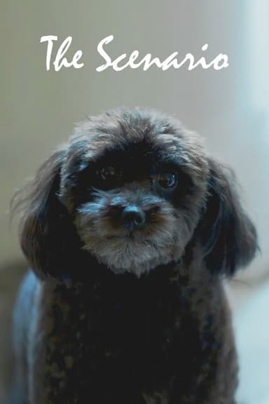The Scenario