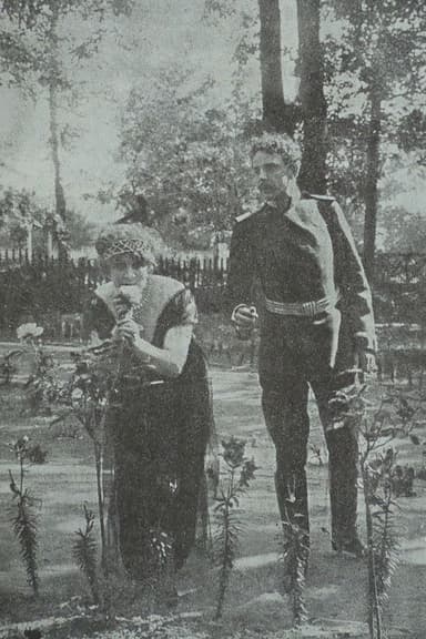 In The Nets of German Espionage