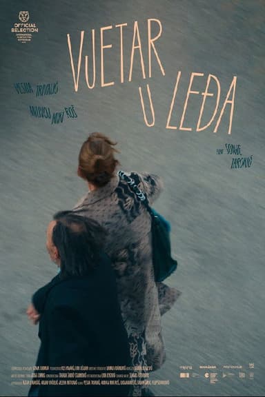 Wind Beneath the Wings